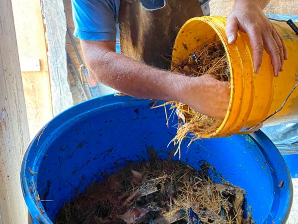 Agave en proceso de fermentación para producir raicilla La Xamana